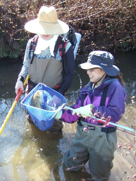 Fishing on the waterway