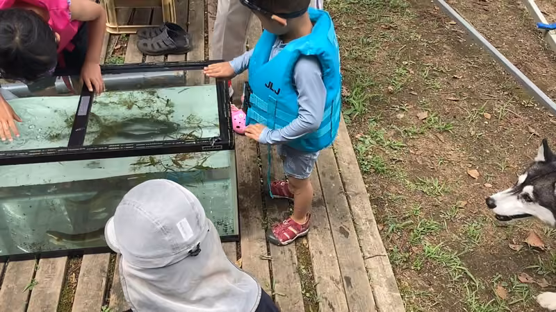 水槽でウナギを観察する参加者